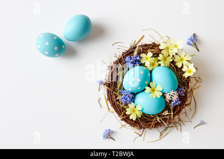 Ostern Dekoration mit Nest, Eier und Frühlingsblumen. Blaue Ostereier im Nest mit zarter Frühling Blüten. Stockfoto