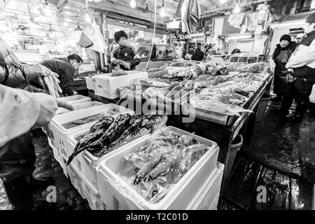 Tokyo, Japan - 15. Januar 2010: Am frühen Morgen am Fischmarkt Tsukiji. Die ersten Kunden kaufen frischen Fisch. Tokio, Japan. Stockfoto