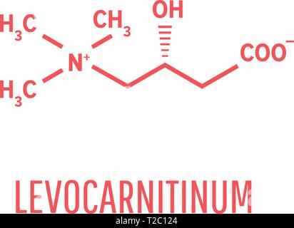 Levocarnitin, Levocarnitin, auch L-Carnitin Carnitin. Acetylcarnitine links biologische Molekül Stock Vektor