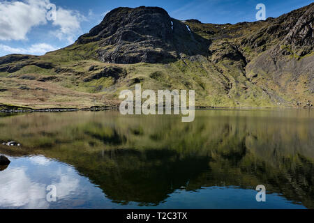 Harrison Stickle reflektiert in Stickle Tarn, Lake District, Cumbria Stockfoto