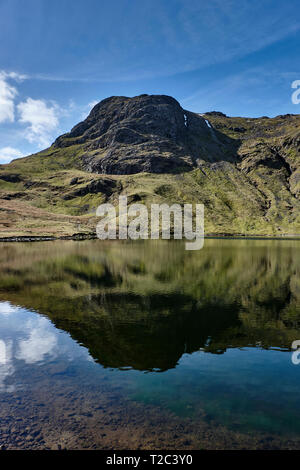 Harrison Stickle reflektiert in Stickle Tarn, Lake District, Cumbria Stockfoto