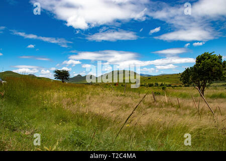 Sanfte Hügel Landschaft mit Gras in Afrika Stockfoto