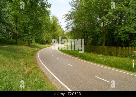 Curvy leere Landstraße führt durch grüne Landschaft im Sommer Stockfoto