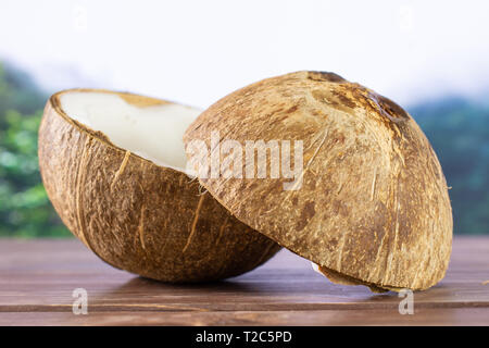 In Scheiben geschnitten Gruppe aus zwei Hälften von frischen bio Kokosnuss in einer nebligen Dschungel Berge Stockfoto