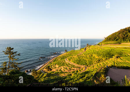 Senmaida Reisfeld Terrasse Wajima Ishikawa, Japan Stockfoto