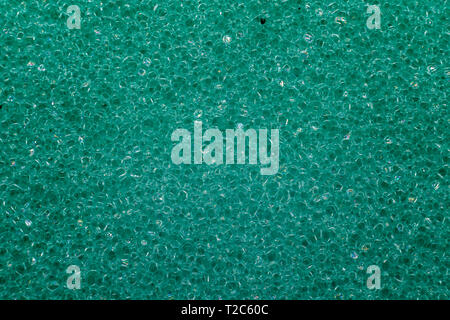 Extreme Makroaufnahme eines grünen Dish Wash Schwamm für den Aufbau des Materials. Stockfoto