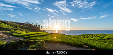 Schöne Aussicht auf den Sonnenuntergang von Senmaida Reisfeld Terrasse Wajima Ishikawa, Japan Stockfoto