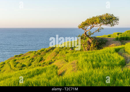 Schöne Aussicht auf den Sonnenuntergang von Senmaida Reisfeld Terrasse Wajima Ishikawa, Japan Stockfoto