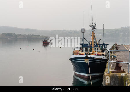 Schull, West Cork, Irland. 1 Apr, 2019. Fischtrawler "Laetitia" sitzt am Liegeplatz in der Schwermut des Schull Hafen. Der Tag wird meist stark bewölkt mit einigen Aufhellungen mit Höhen von 9. bis 13° Celsius. Credit: Andy Gibson/Alamy Leben Nachrichten. Stockfoto