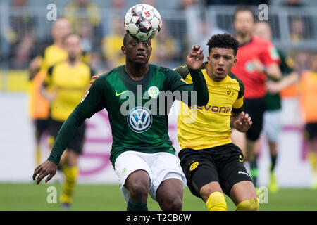 Dortmund, Deutschland. 30 Mär, 2019. Jerome ROUSSILLON (links, WOB) versus Jadon SANCHO (DO), Aktion, Duellen, Fußball 1. Fussballbundesliga, 27. Spieltag, Borussia Dortmund (DO) - VfL Wolfsburg (WOB) 2:0, am 30.03.2019 in Dortmund/Deutschland. € | Nutzung der weltweiten Kredit: dpa/Alamy leben Nachrichten Stockfoto