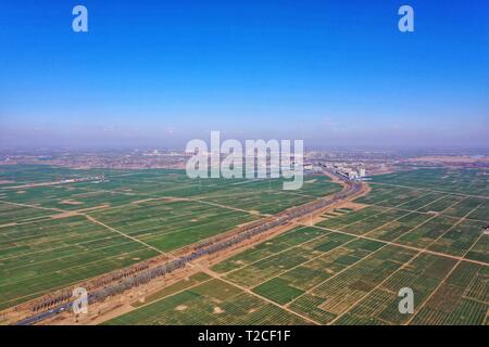 Peking, China. 31 Mär, 2019. Luftbild am 31. März 2019 zeigt die Felder von Xiongan neuer Bereich, im Norden der chinesischen Provinz Hebei. Credit: Mu Yu/Xinhua/Alamy leben Nachrichten Stockfoto