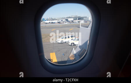 New York, USA. 01 Apr, 2019. Der Air Force A340 "Konrad Adenauer" steht auf dem Vorfeld des JFK Airport in New York. Der Airbus ist ein Reifen problem und muss seine Parkposition abgeschleppt werden. Foto: Ralf Hirschberger/dpa/Alamy leben Nachrichten Stockfoto