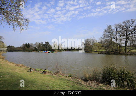 Tunbridge Wells, UK. 1 Apr, 2019. Uk Wetter. Besucher Dunorlan Park genießen Sie einige später Nachmittag Sonne heute in Royal Tunbridge Wells, Kent. de. Credit: Ed Brown/Alamy leben Nachrichten Stockfoto