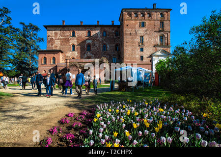 Italien Piemont Pralormo Burg' messer Tulipano' Event ankündigen, um die Feder zu Tulpen gewidmet Stockfoto