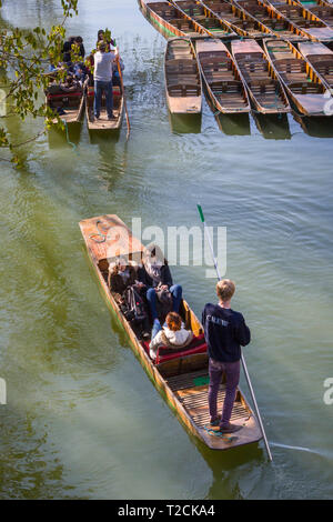 Oxford, UK. 1. Apr 2019. Touristen sind Chauffeur den Fluss Cherwell in traditionellen Oxford Punts in der schönen Frühlingssonne. Credit: Harry Harrison/Alamy leben Nachrichten Stockfoto