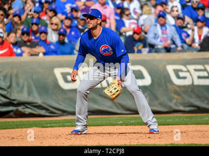 Mar 31, 2019: Chicago Cubs dritter Basisspieler Kris Bryant #17 während ein MLB Spiel zwischen den Chicago Cubs und der Texas Rangers bei Globe Life Park in Arlington, TX Texas besiegt Chicago 11-10 Albert Pena/CSM. Stockfoto