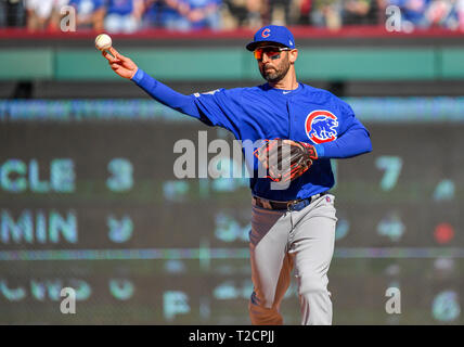 Mar 31, 2019: Chicago Cubs zweiter Basisspieler Daniel Descalso #3 Während eine MLB Spiel zwischen den Chicago Cubs und der Texas Rangers bei Globe Life Park in Arlington, TX Texas besiegt Chicago 11-10 Albert Pena/CSM. Stockfoto