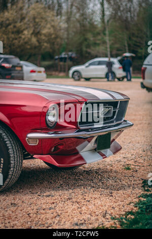 Rot 60er Mustang Stockfoto