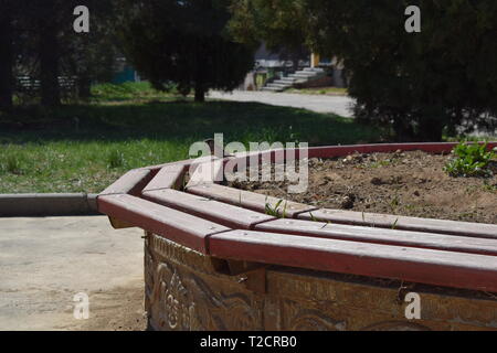 Einen kleinen süßen Vogel Sekunden bevor es weg fliegen, sitzen auf einer Bank Denkmal im bulgarischen Dorf Stockfoto