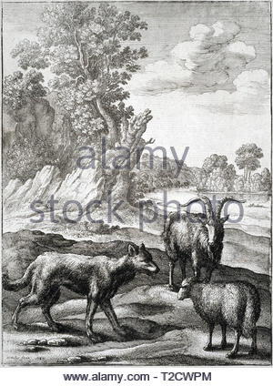 Der Wolf und das Lamm, einem der Aesops Fabeln, Radierung von Böhmische Kupferstecher Wenzel Hollar aus 1600s Stockfoto