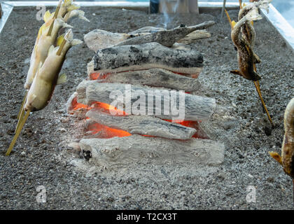 Iwana oder yamame gegrillter Fisch, gegrillte Neben Kohlen auf Stöcke, einem berühmten Essen bei Kegon Falls, Nikko Japan. Stockfoto