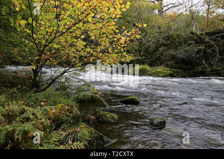 Fluss Rothay, Lake District Stockfoto