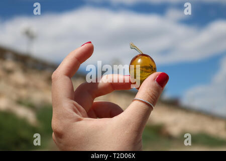 Isolierte Schuss Olivenöl in Kunststoffbehälter im Mädchen Hand. Stockfoto