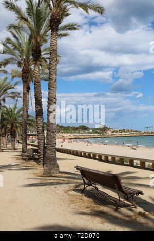 Palmen in Tarragona Während mediterrane Spiele im Juni 2018 Stockfoto