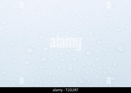 Regen Tropfen auf Glas Hintergrund, Wasser auf weißem Hintergrund fällt, Textur. Stockfoto