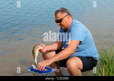 Ein Mann der Fisch reinigt, der Fischer schneidet der Fisch auf dem Ufer, der Region Kaliningrad, Russland, 19. August 2019 Stockfoto