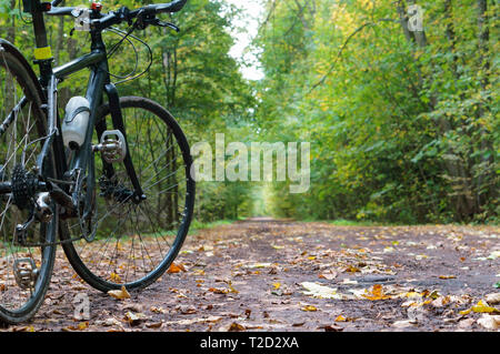 Region Königsberg, Russland, 30. September 2018. Schwarzes Fahrrad im Herbstwald. Stockfoto