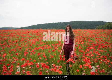 Mohn, Tag der Erinnerung, Anzac Day. Drogen- und liebe Intoxikation, Opium, Arzneimittel. Frau in poppy flower Field, Ernte. Schlafmohn, botanische Anlage, e Stockfoto