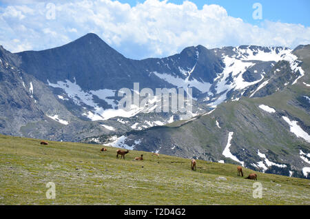 Rocky Mountains Colorado USA Nordamerika Stockfoto