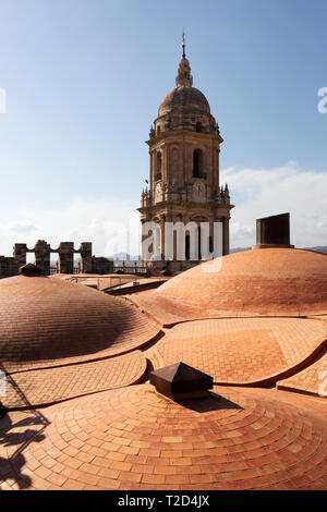 Das Dach der Kathedrale von Malaga (Kathedrale de La Encarnacion de Malaga), Malaga Andalusien Spanien Europa Stockfoto