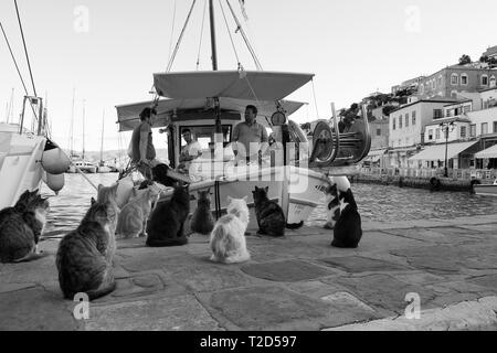 Insel Hydra Griechenland Stockfoto