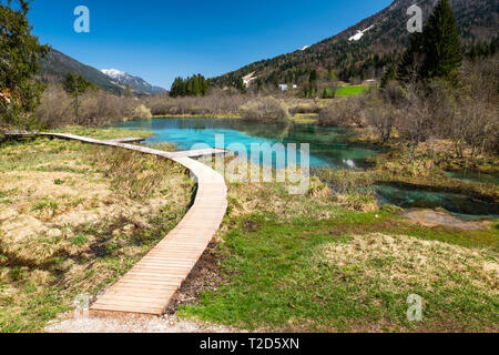 See Zelenci, die Quelle des Flusses Sava Dolinka, mit der Beobachtung trail Fußgängerbrücke in Nature Reserve in der Nähe der Stadt von Kranjska Gora in Slowenien Stockfoto