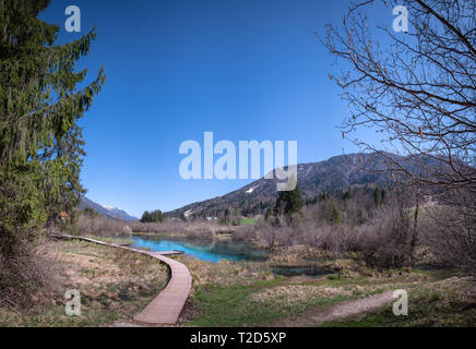 See Zelenci, die Quelle des Flusses Sava Dolinka, mit der Beobachtung trail Fußgängerbrücke in Nature Reserve in der Nähe der Stadt von Kranjska Gora in Slowenien Stockfoto