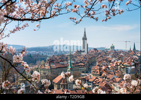 Wunderbarer Frühlingsmorgen in Bern 5/6 der Sonnenschein mit Berner Münster und Altstadt Stockfoto