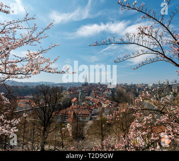 Wunderbarer Frühlingsmorgen in Bern 5/6 der Sonnenschein mit Berner Münster und Altstadt Stockfoto