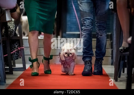 London, Großbritannien. 30. März, 2019. London Fashion Hund Brunch im M Restaurant in Victoria. Credit: Guy Corbishley/Alamy leben Nachrichten Stockfoto