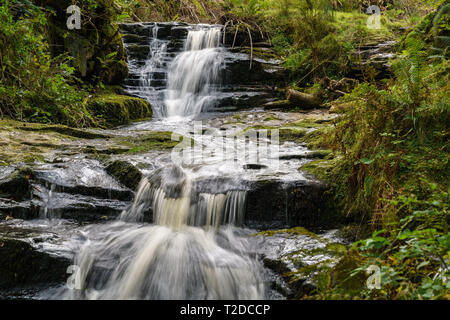 Ein Wasserfall im Blaen-y-Glyn in der Nähe von Torpantau, Powys, Wales, Großbritannien Stockfoto