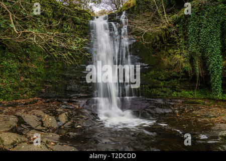 Ein Wasserfall im Blaen-y-Glyn in der Nähe von Torpantau, Powys, Wales, Großbritannien Stockfoto