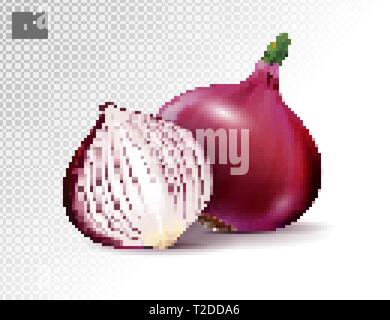 Vektor frische ganze und halbe rote Zwiebel Zwiebeln auf transparentem Hintergrund. Realistische Vektor, 3 Abbildung d Stock Vektor