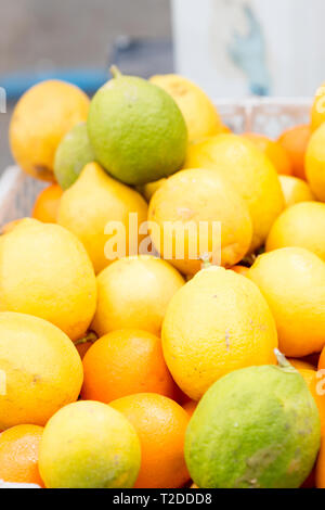 Zitrusfrüchte - Zitronen, Limetten, Orangen in Feld Stockfoto