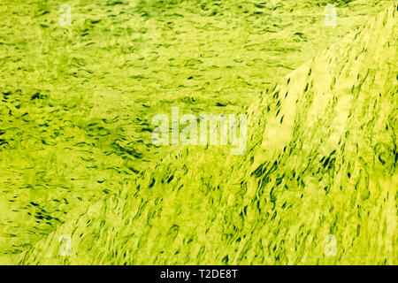 Holz Muster der karelischen Birke, Hintergrund Foto Textur. Verschiedene Farben und Schattierungen Stockfoto