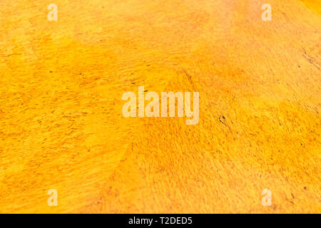 Holz Muster der karelischen Birke, Hintergrund Foto Textur. Verschiedene Farben und Schattierungen Stockfoto