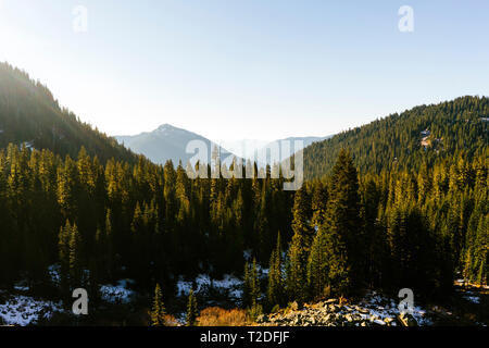 Malerischer Blick auf Mount Rainier National Park Stockfoto