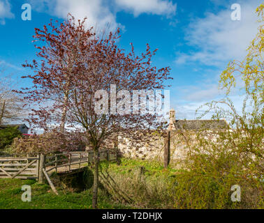 12. jahrhundert Morham Pfarrkirche und Holzbrücke, East Lothian, Schottland, Großbritannien Stockfoto