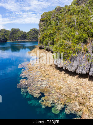 Die Vogelperspektive zeigt gesunde Riffe Umgebung remote Kalkstein Inseln in Raja Ampat. Dieses Gebiet ist für seine unglaubliche Artenvielfalt des Meeres bekannt. Stockfoto