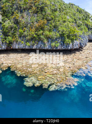 Die Vogelperspektive zeigt gesunde Riffe Umgebung remote Kalkstein Inseln in Raja Ampat. Dieses Gebiet ist für seine unglaubliche Artenvielfalt des Meeres bekannt. Stockfoto